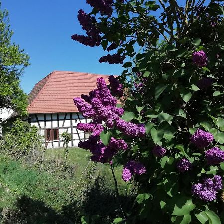 Gite Rue De L'Ange Hunspach Dış mekan fotoğraf