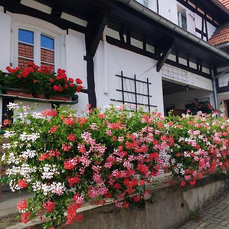 Gite Rue De L'Ange Hunspach Dış mekan fotoğraf