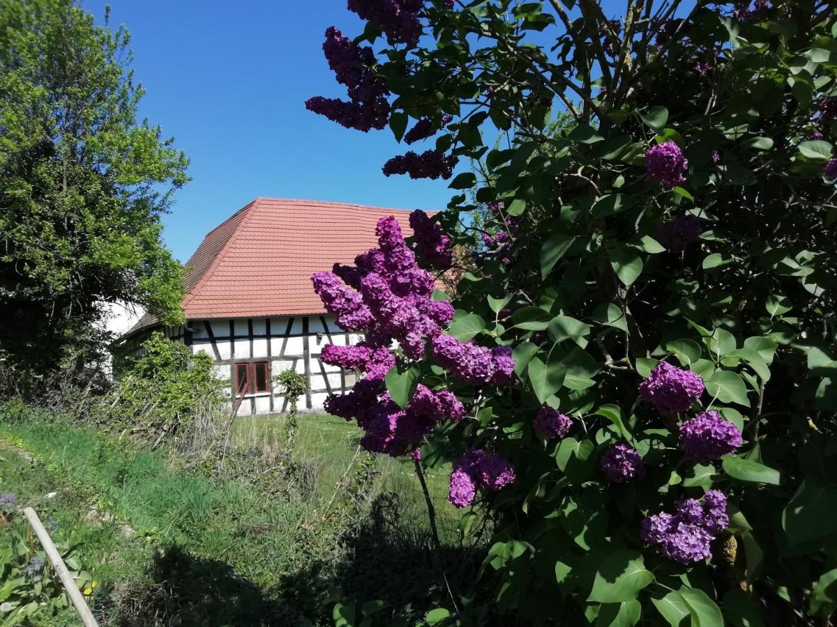 Gite Rue De L'Ange Hunspach Dış mekan fotoğraf