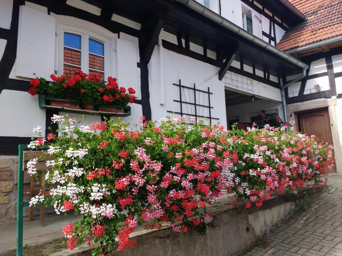 Gite Rue De L'Ange Hunspach Dış mekan fotoğraf