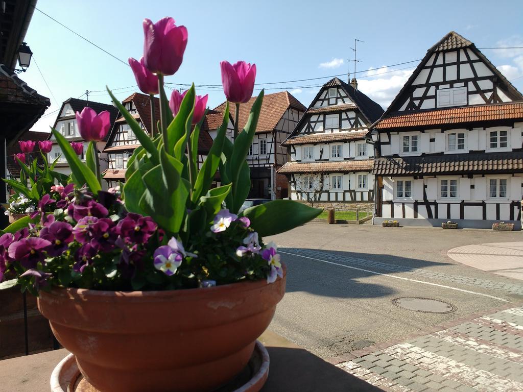Gite Rue De L'Ange Hunspach Dış mekan fotoğraf